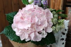 svatebni_floristika_06_2022_12